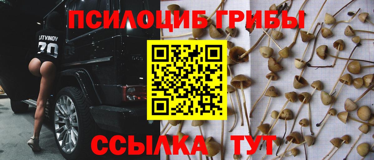 Галлюциногенные грибы ЛСД Дальнереченск