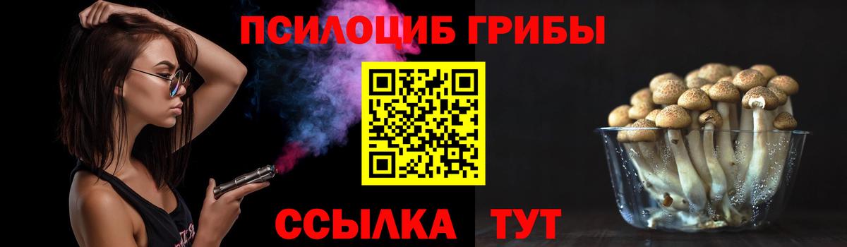 Псилоцибиновые грибы GOLDEN TEACHER  Вход с VPN  Дальнереченск  Галлюциногенные грибы прущие грибы 